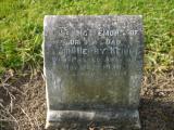image of grave number 196508
